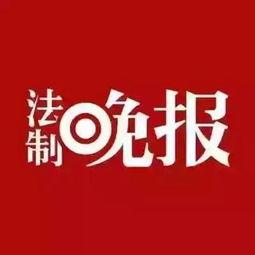 台山新闻爆料热线,倾听民声,传递正义 第3张 台山新闻爆料热线,倾听民声,传递正义 第3张